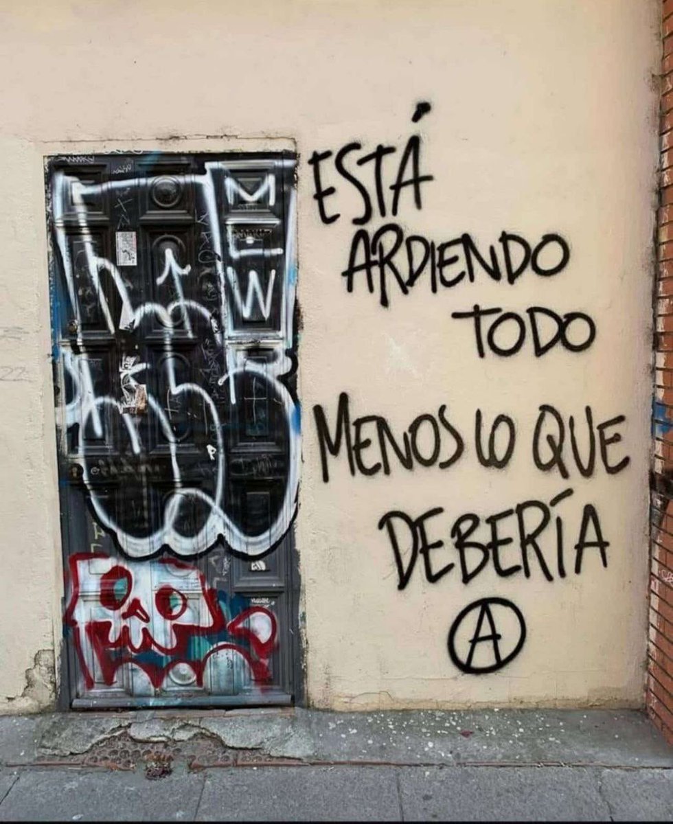 FuturoVegetal🍒 (@futurovegetal) on Twitter photo 