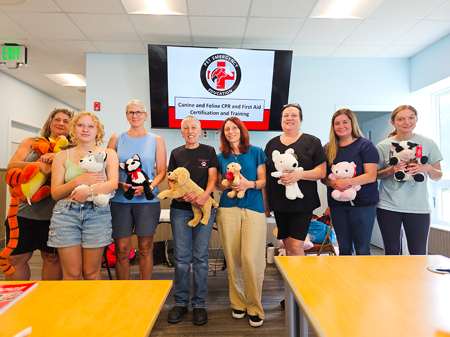 petsalive's tweet photo. Huge thanks to everyone who joined our Canine & Feline CPR + First Aid Class with @Pet_Emergencyed ๐พ
Special shoutout to Lauren, our amazing instructor. Youโre now better prepared to save lives & youโve helped support animal safety!
#PetEmergencyEducation #PetCPR #PetFirstAid https://t.co/9dDG8xtwIy