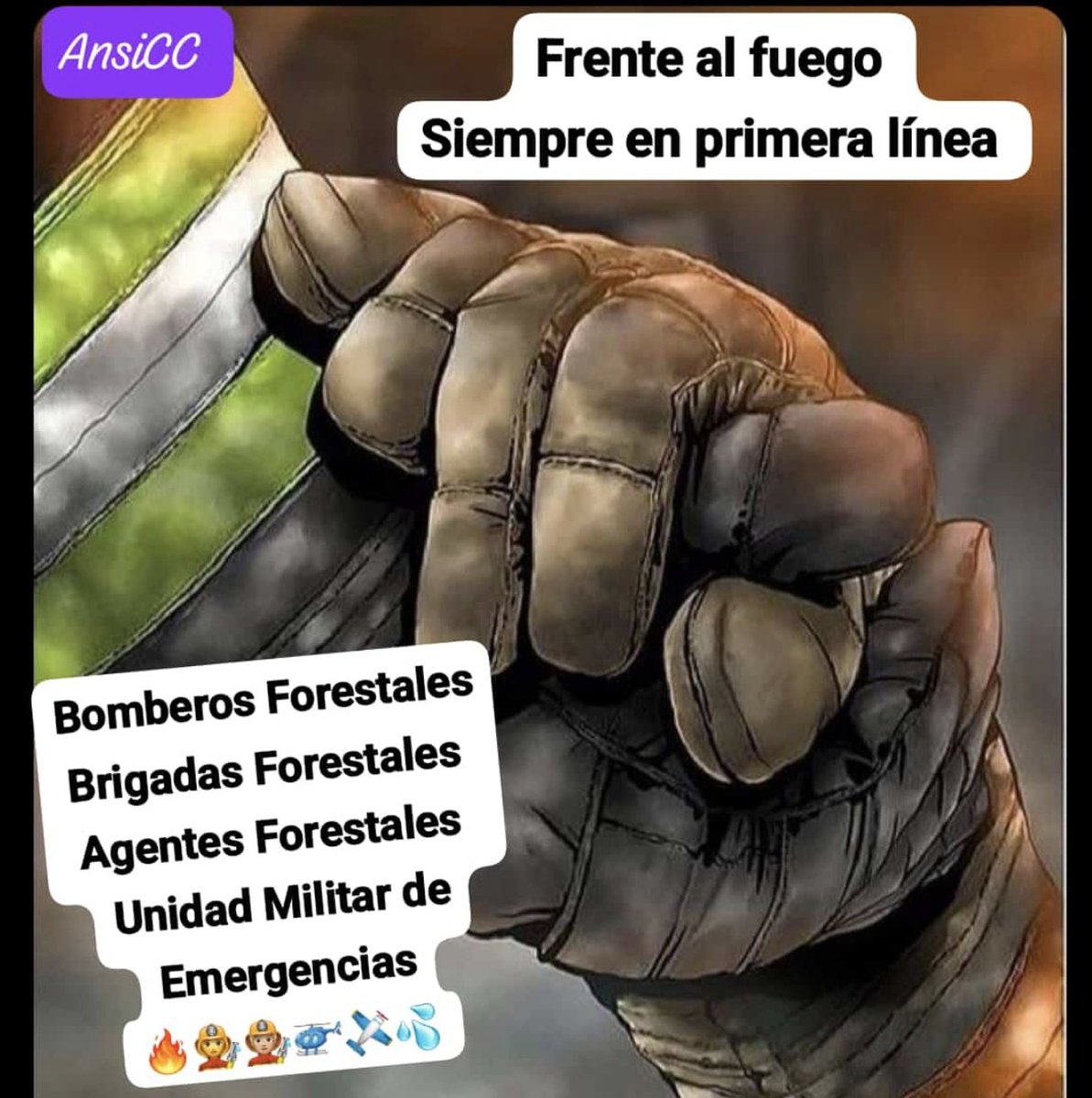 AnsiCC's tweet photo. #IfJarilla
En #Jerte, aire viciado de humo, pavesas y cenizas.
Seguimos con el fuego a la espalda.
Agradecimientos miles a todos los efectivos que luchan contra este fuego destructor. 
A los políticos de políticas irresponsables, ni agua. https://t.co/k0e0nT71jo