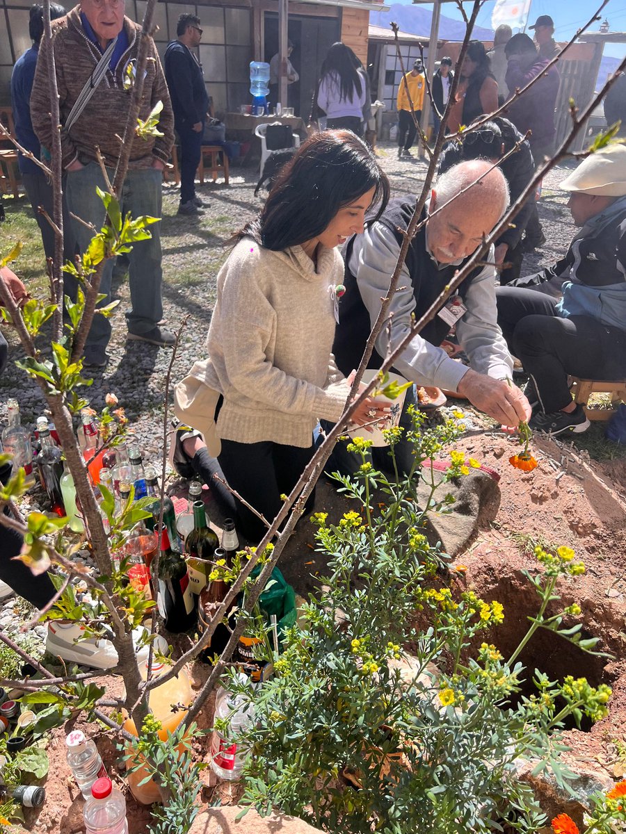 Mario Fiad tweet media