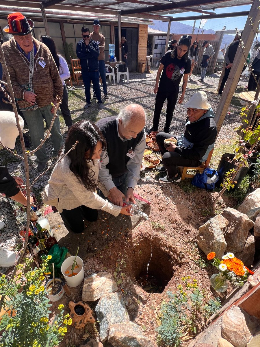 Mario Fiad tweet media