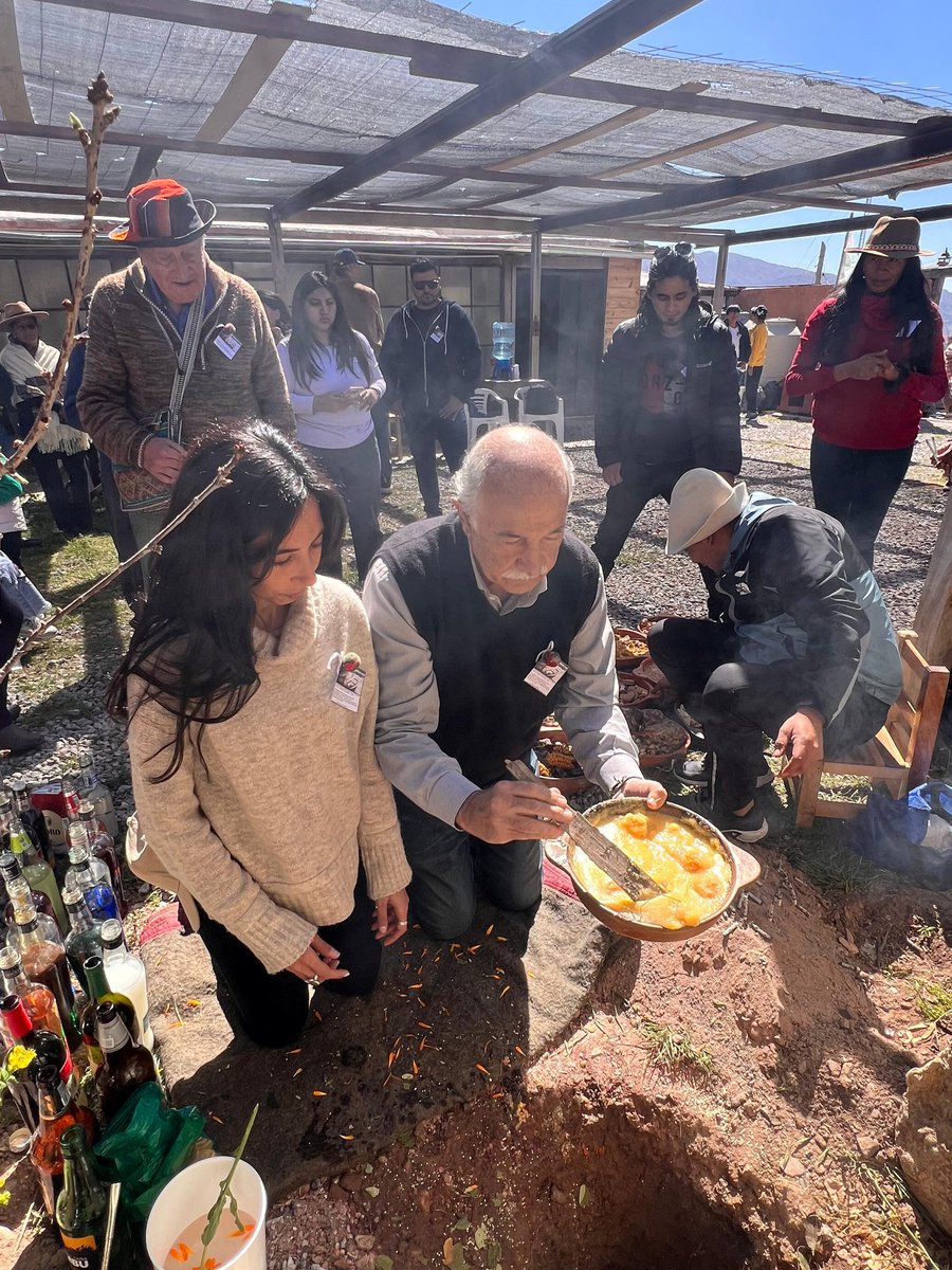 Mario Fiad tweet media