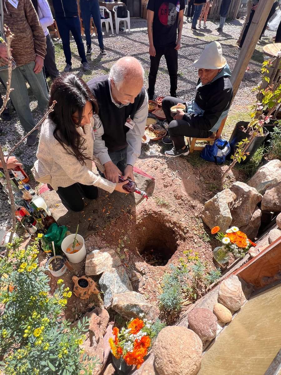 Mario Fiad tweet media