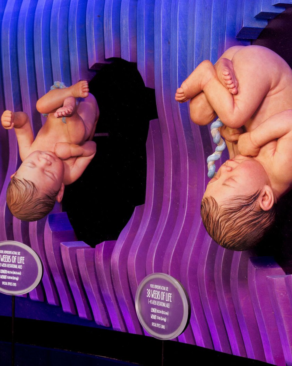 The Bible informs us that every human being from the moment of fertilization is made in God’s image, both male and female.