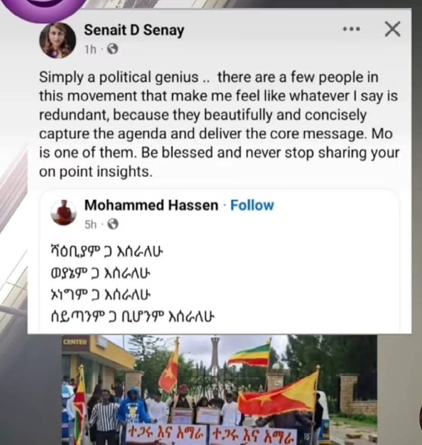 The mighty Amhara forces and diaspora community must prioritize forging a strong and cohesive bond within Amharaselves before forming alliances with longstanding adversaries under the guise of fighting shared common enemies.