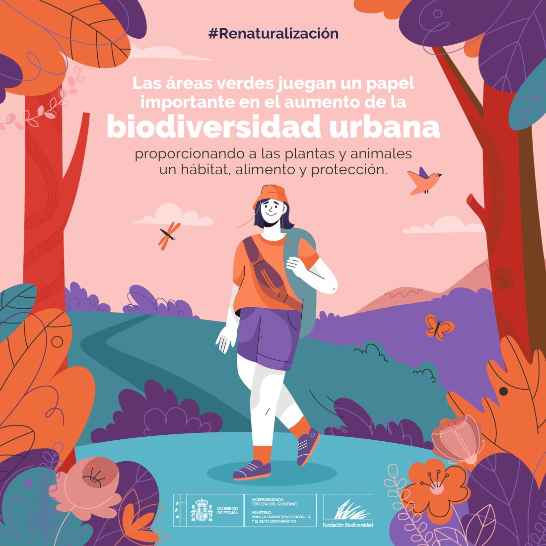 Las áreas verdes son refugio de vida 🌿

En ellas conviven especies locales, nuevas y migratorias, aumentando la biodiversidad en nuestras ciudades.

Ciudades verdes 🍃 para un mundo más sano 💚

#Renaturalización