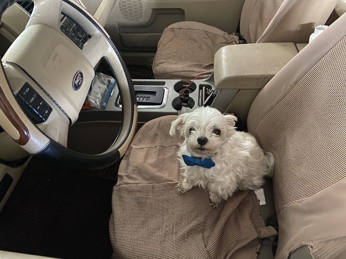 “Get in loser, we’re going shopping.”