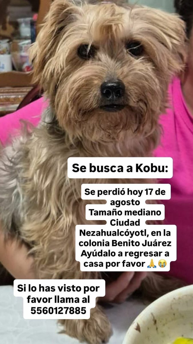 Porfavor compartan