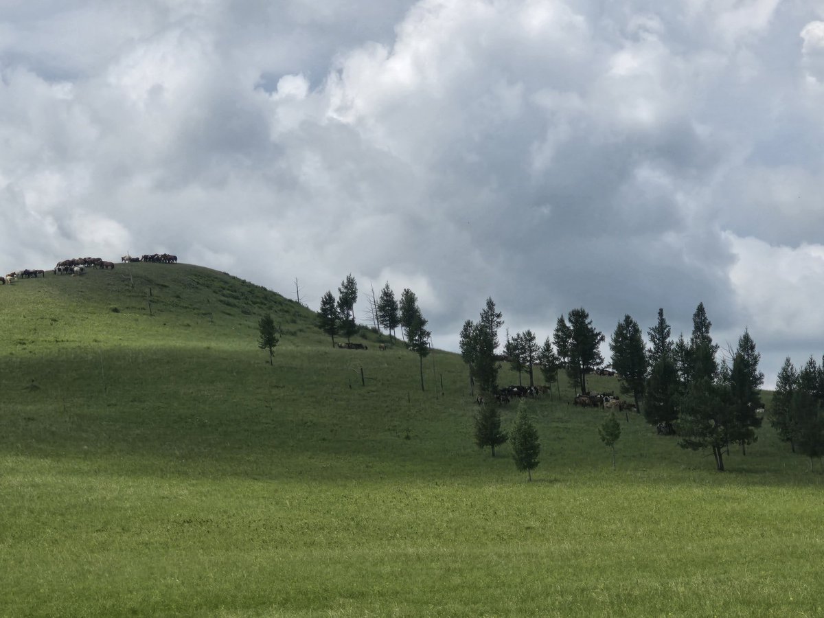 Өглөөний мэнд 

Шинэ долоо хоногтоо олз омог дүүрэн байгээ.