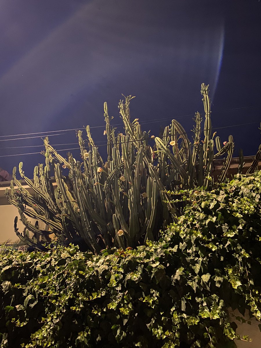 Good night Abs😴💚