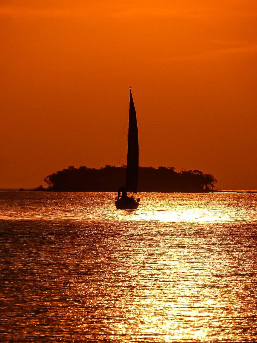 turisargentina's tweet photo. Atardeceres de agosto en la bella Posadas 🙌💛🧡

Hermosas fotos de Ale Quintana. https://t.co/Gg33kRSQR4