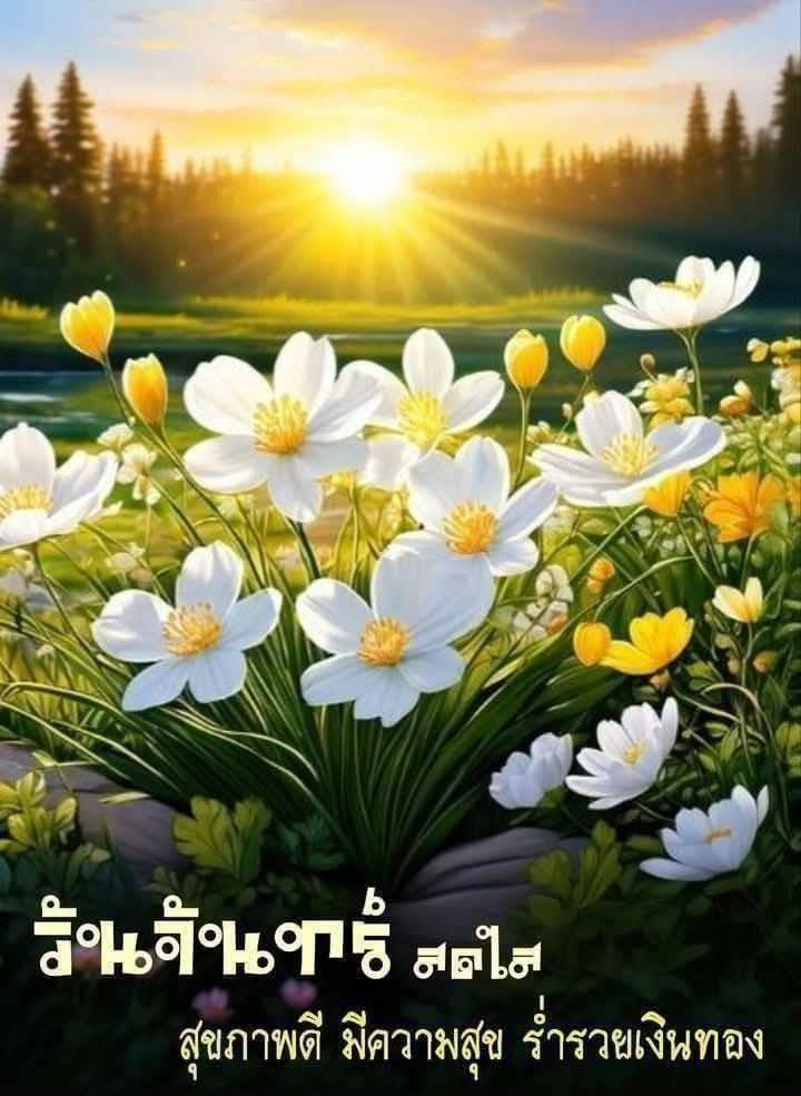 อรุณสวัสดิ์เช้าวันจันทร์ค่ะ