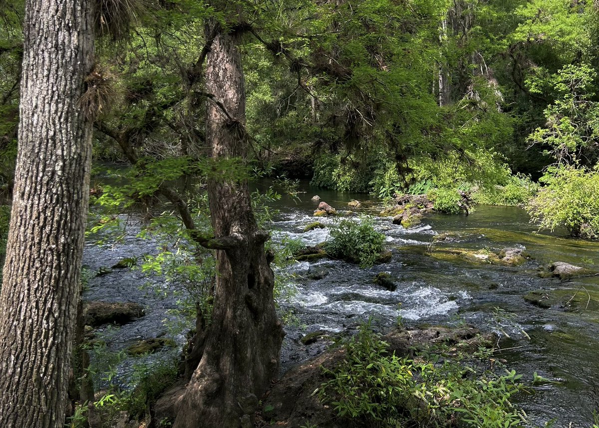 swordgirlfrend's tweet image. from my hike today