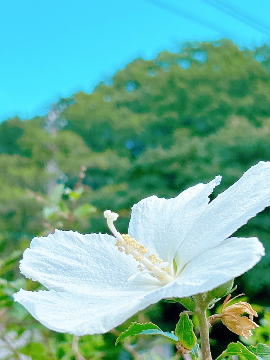 おはようございます☀️

仕事に行きたくなーいって人
仲間です( ´꒳`*)人(*´꒳` )