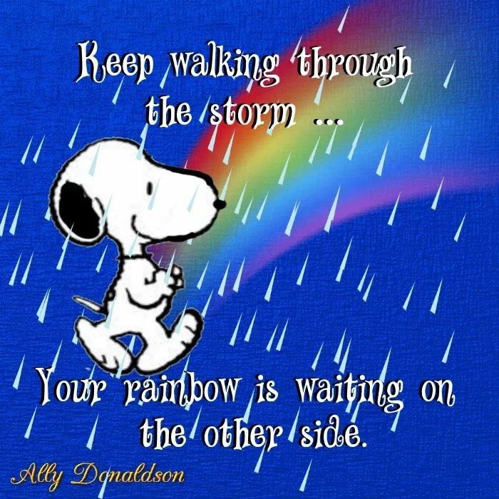 ๐ฆ๐บ๐พ๐ถCptโn Jaspa #ZSHQ ๐ถ๐พ๐ฆ๐บ (@jaspathemaltzu) on Twitter photo ๐ฆ๐บ๐พ๐ถ๐โ๏ธMorninโ! 8C. Deys gor it wite tโdayโฆiz waininโ. Pawtwol woz qwick, soggy but clear. No funda, fankfuwwy. Mumโs gettinโ weady tโgo tโhers cawse. No coverโd parkin, โere or dere. Hmmmm. Haves a good day, fwens! Be safe, be happy, haves fun, enjoy. Luvs!๐ฅฐ๐๐พ #ZSHQ ๐ฆ๐บ๐พ๐ถ๐โ๏ธMorninโ! 8C. Deys gor it wite tโdayโฆiz waininโ. Pawtwol woz qwick, soggy but clear. No funda, fankfuwwy. Mumโs gettinโ weady tโgo tโhers cawse. No coverโd parkin, โere or dere. Hmmmm. Haves a good day, fwens! Be safe, be happy, haves fun, enjoy. Luvs!๐ฅฐ๐๐พ #ZSHQ