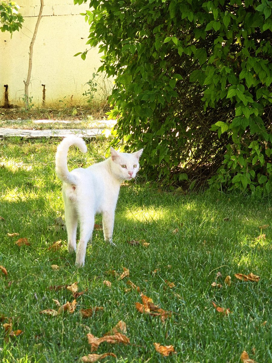 -Beni soracak olursan iyiyim,
"Zaten ne sen beni soracaktın ne de ben iyiyim..."