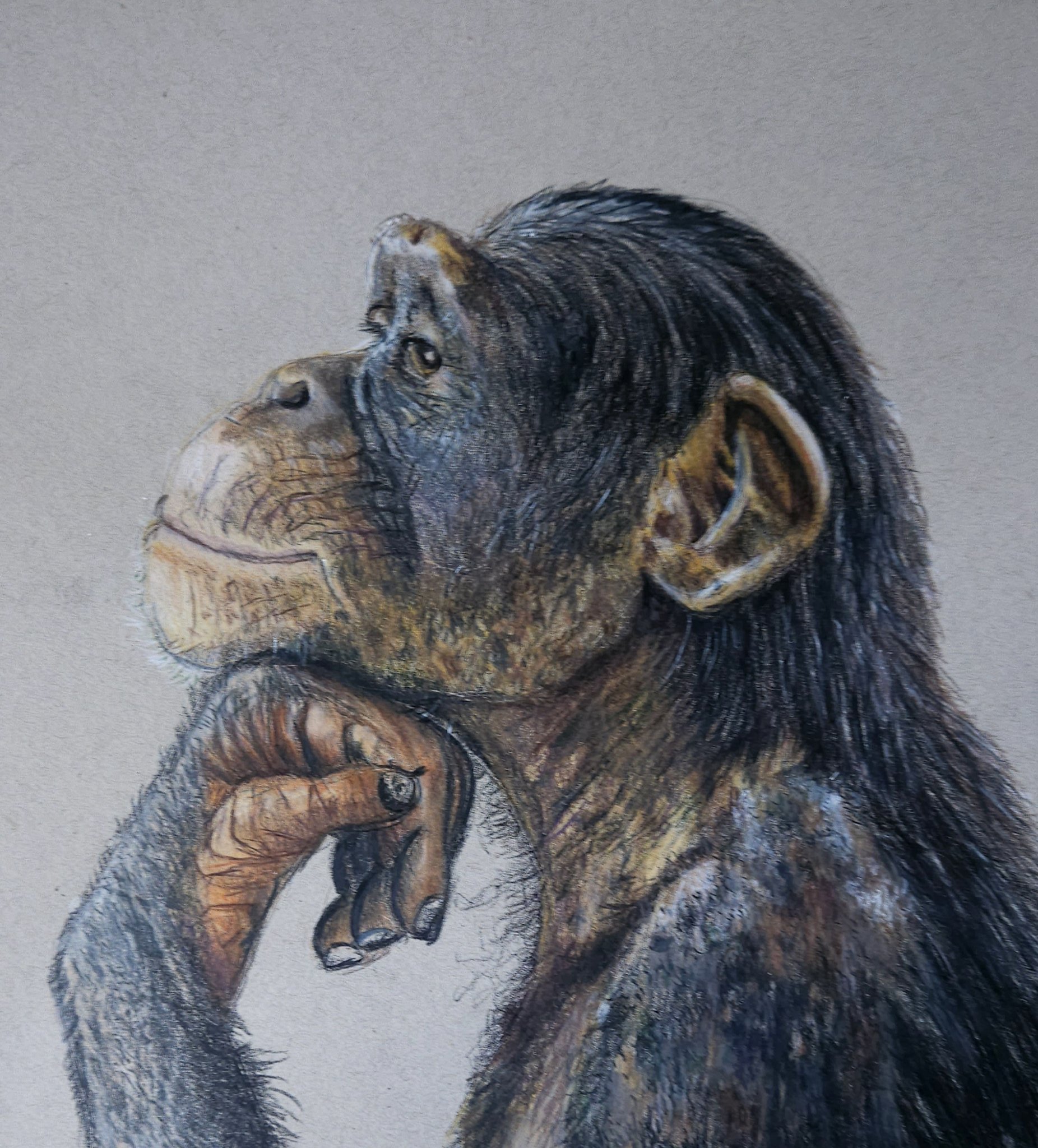 色鉛筆画　絵画　 「Can I make love to you?」 色鉛筆画 絵画 「Can I make love to you?」 色鉛筆画 絵画