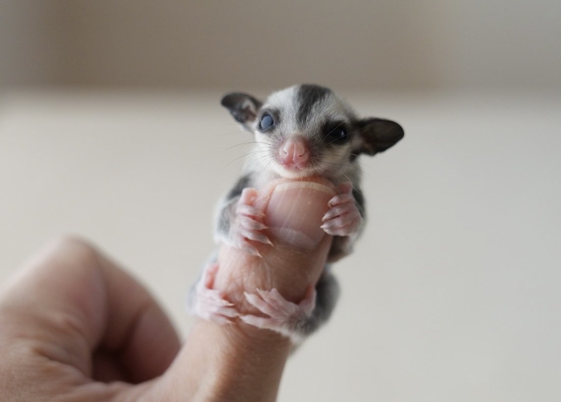 ちゃむ (@N8l7OTwweOmpuUA) / Posts / X