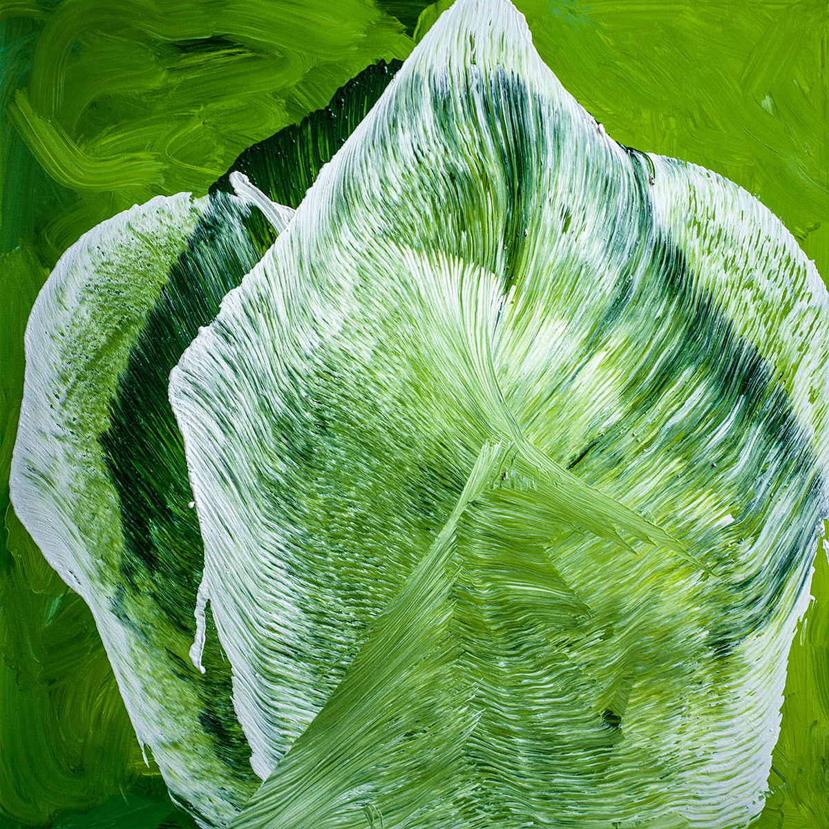 Ritu Raj tweet media