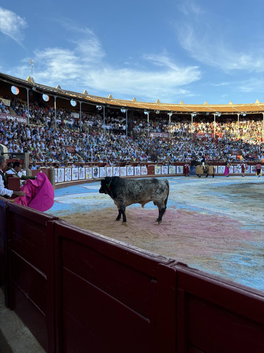 Jota (del Club de la Serpiente) tweet media