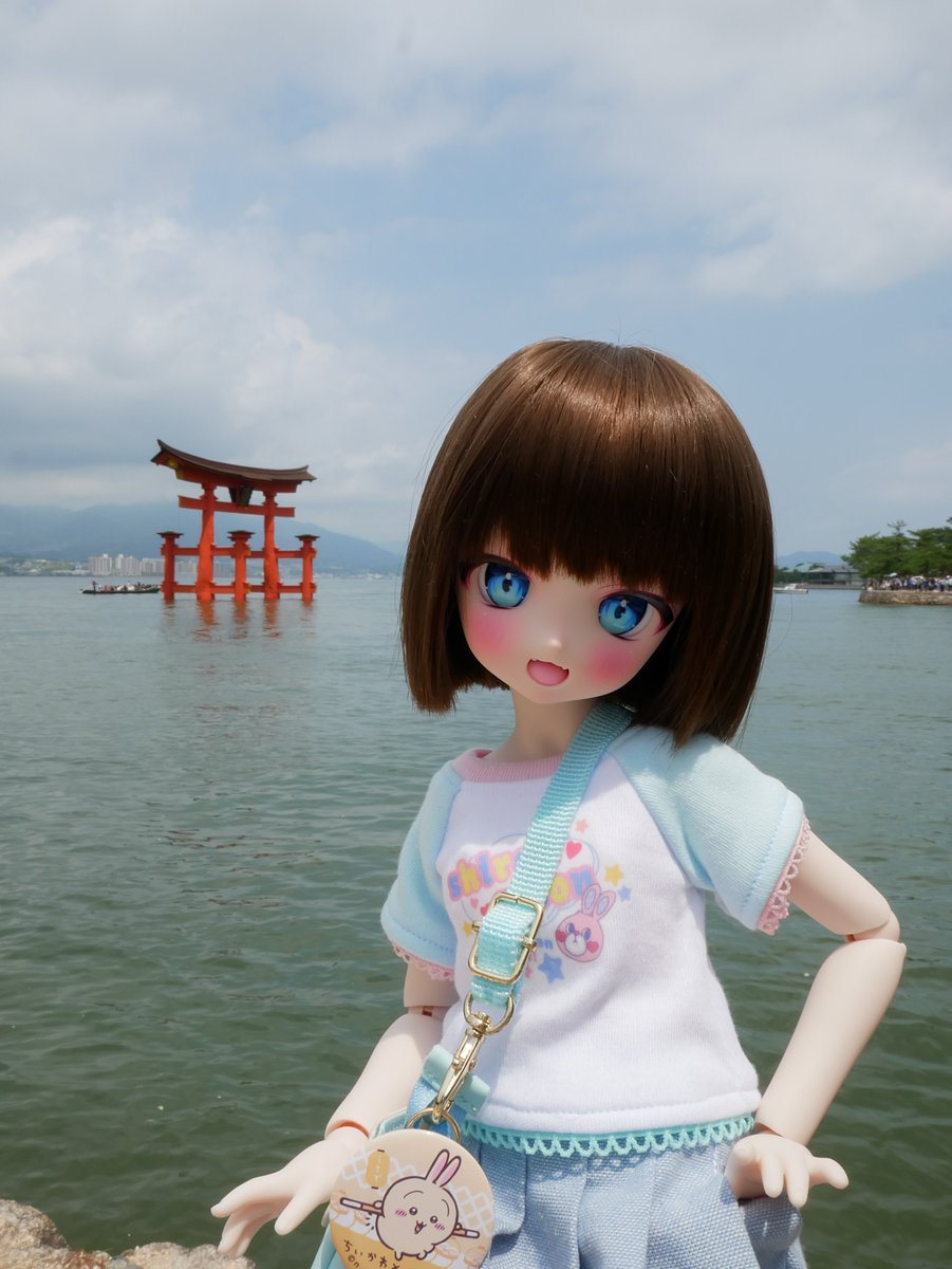 ちぃちゃん　　シュプレモフード ニュートロ シュプレモ 子犬用 小粒