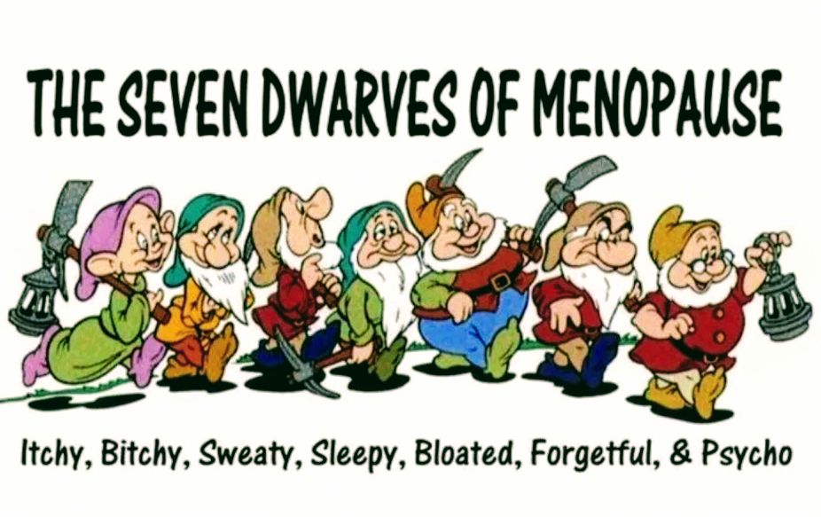 monkeyfun1001's tweet image. Thank God men don't have the complicated plumbing and hormones you ladies have to put up with. But on the other hand the world's population would be a lot smaller as we would kill at least 1 person a month and during menopause psycho would be a very dangerous dwarf.