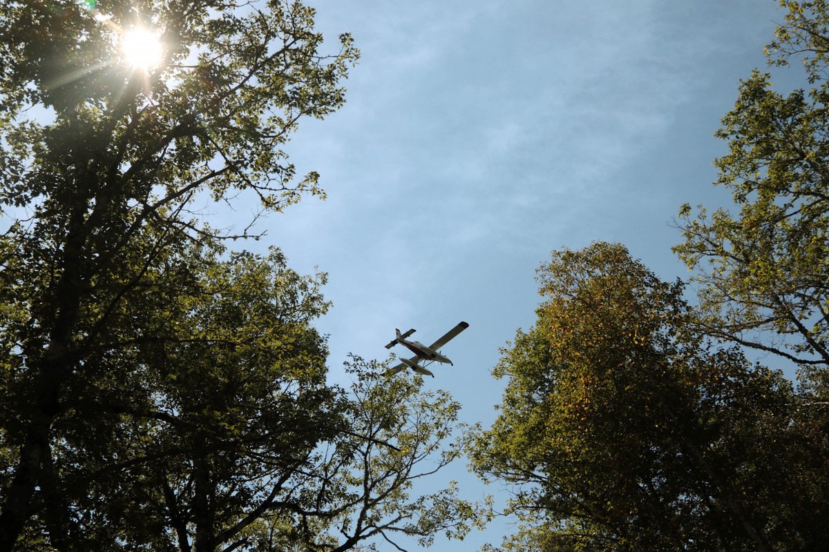 nsgov's tweet photo. The Long Lake wildfires complex is still out of control and continues to grow. Crews from NS, Ontario and PEI are fighting the fire, along with planes from Northwest territories and contracted helicopters. Multiple agencies are providing critical supports on a number of fronts. https://t.co/5dzGZkSiXQ