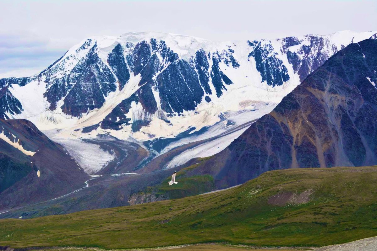 Өглөөний мэнд X~ Good morning everyone