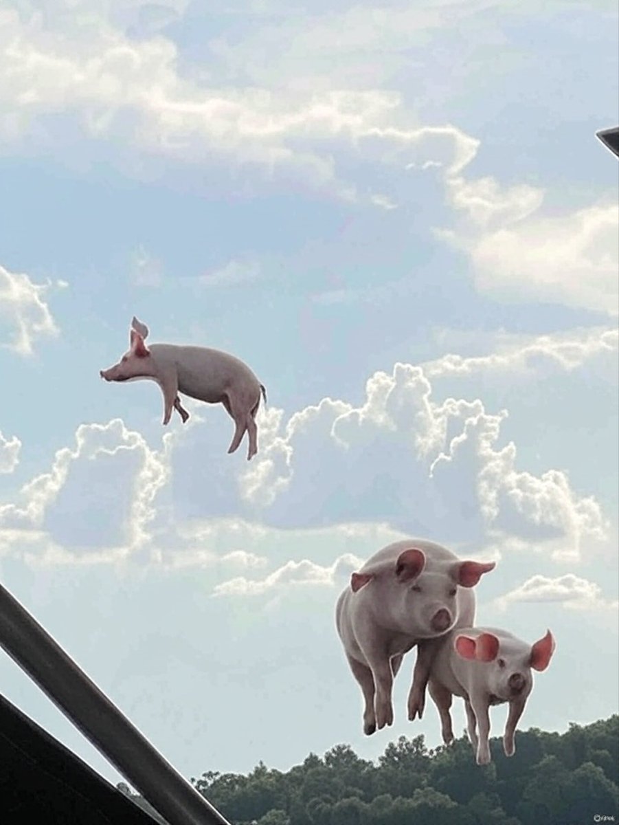 I ask AI to make that one cloud look like an Arkansas Razorback.  #gohogs #arkansas #razorbacks