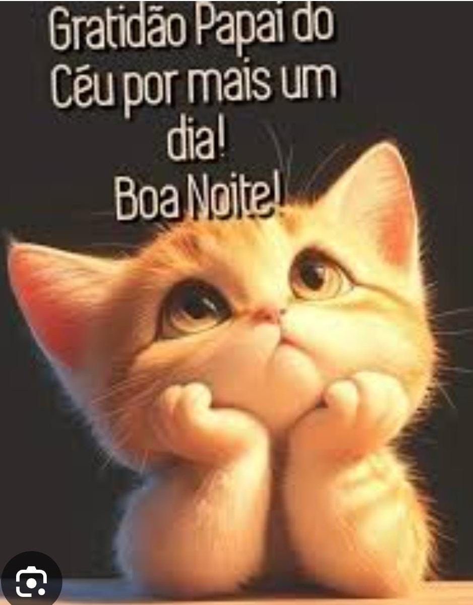 #BoaNoite A TODOS QUE AMAM, DEFENDEM, RESPEITAM, ADOTAM E AJUDAM OS ANIMAIS!!🙏🙏🐾🐾🦙🐄🦒🐘🐆🐋🐡🐙🦀🐳🐅🦣🐫🐂🐑🐩🦥🦦🦫!!!❤️❤️❤️🌹🌹🌹🌹🇧🇷🇧🇷🇧🇷🇧🇷