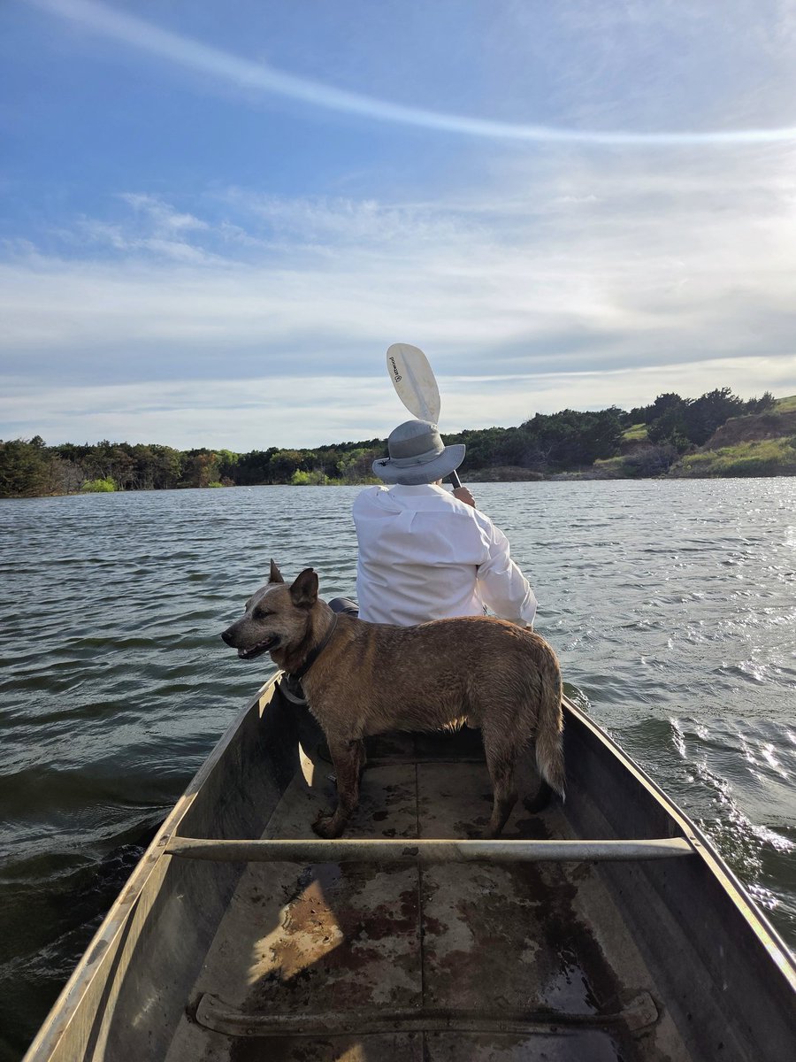 Drake Gard (@drakegard1) on Twitter photo 