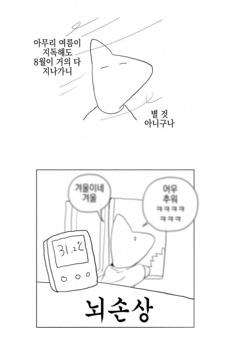 seedcale's tweet image. 