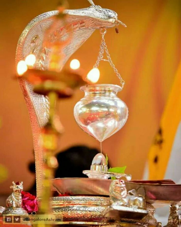ॐ नमो भगवते रुद्राय नमः।
शिव प्रभात 🙏
<a href="/Ar8120_/">अर्पिता गुप्ता</a> <a href="/Preeti_074/">Pratima Saran</a>