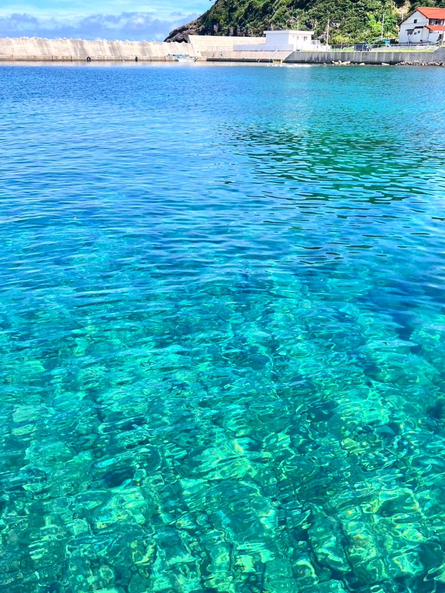 近所の海なのであります