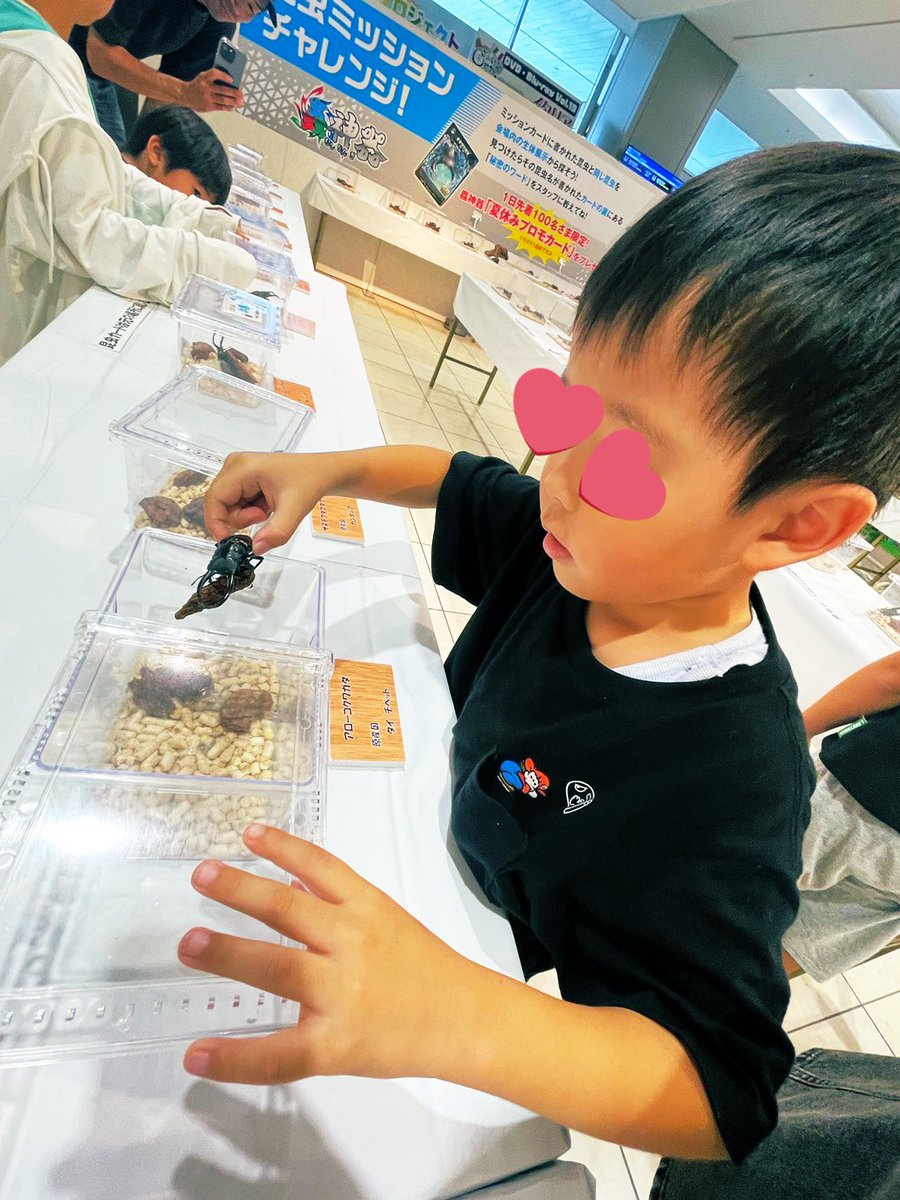 fuk_daikonchu's tweet photo. 『ふくおか大昆虫展×蟲神器』は昨日無事に閉幕しました！8500名超のご来場を頂きありがとうございます😌✨✨皆さまから
のご要望に応えられるよう来年の開催実現に向けて頑張ります✨✨🐝 https://t.co/zlydhpzgnO