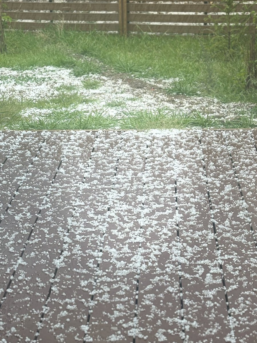 Өглөөний мэнд🍀