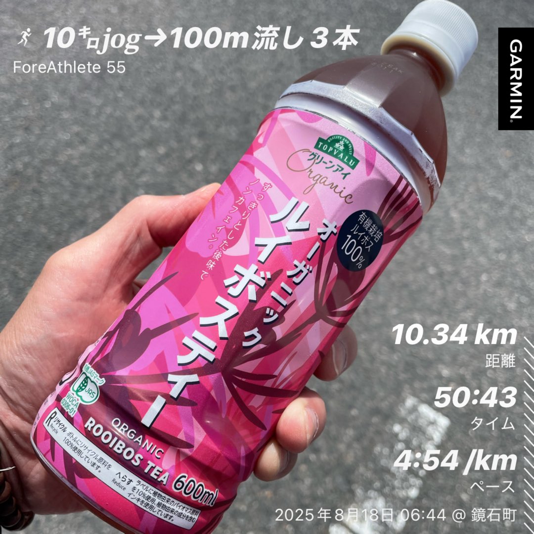 朝ラン☀️🌱気温23℃湿度83%🌿

昨日の30kmのダメージも残っていなかったため、10㌔𝐣𝐨𝐠→100m流し3本🏃³₃
今年の夏も色々と試しましたが、ルイボスが身体に合っている気が…☺️

ランナーの皆さんは、どのようなドリンクを飲んでいるのでしょうか❓🤔

#ランニング #ジョグ #朝ラン #ルイボスティー