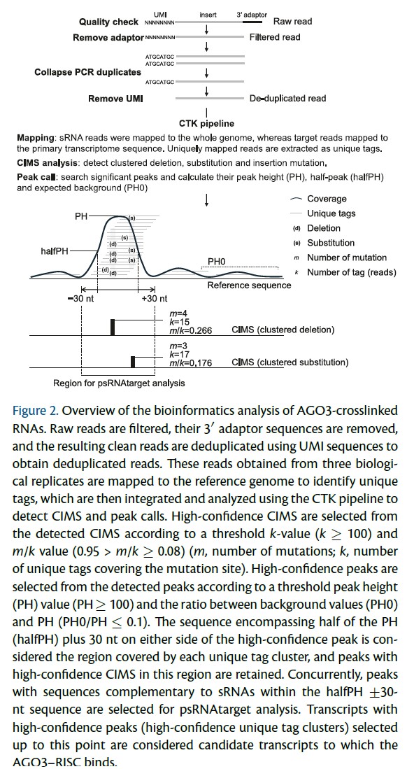 📘From recent PCP issue (66-6): Regular Paper💐
'Global identification of AGO3–RNA interactions reveals targets of small RNA-mediated gene regulation in #Chlamydomonas reinhardtii'

doi.org/10.1093/pcp/pc…
#Argonaute #Plantsci
