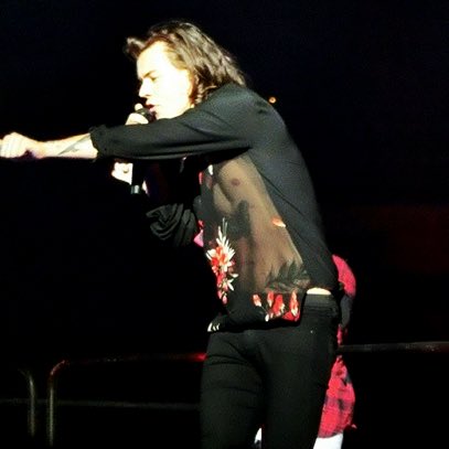 that sheer shirt on harry styles… permanently engraved in my mind