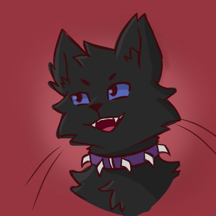 Alina_x2's tweet photo. Garabato para no dejar inactivo este lugar 🤙

#warriorcats https://t.co/4OCgDVP5dq