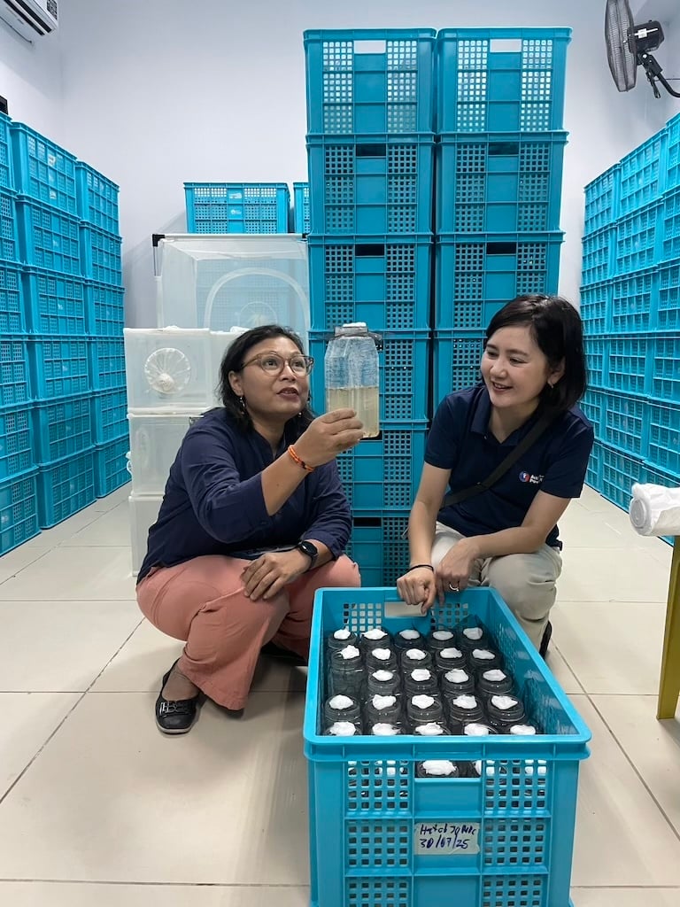 Action on Poverty tweet media