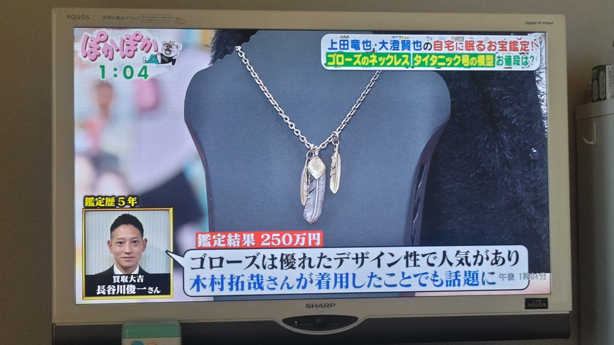 KAT-TUN 上田竜也 ネックレス フェザー 羽 アクセサリー 上田竜也 着用 フェザー ネックレス - メルカリ