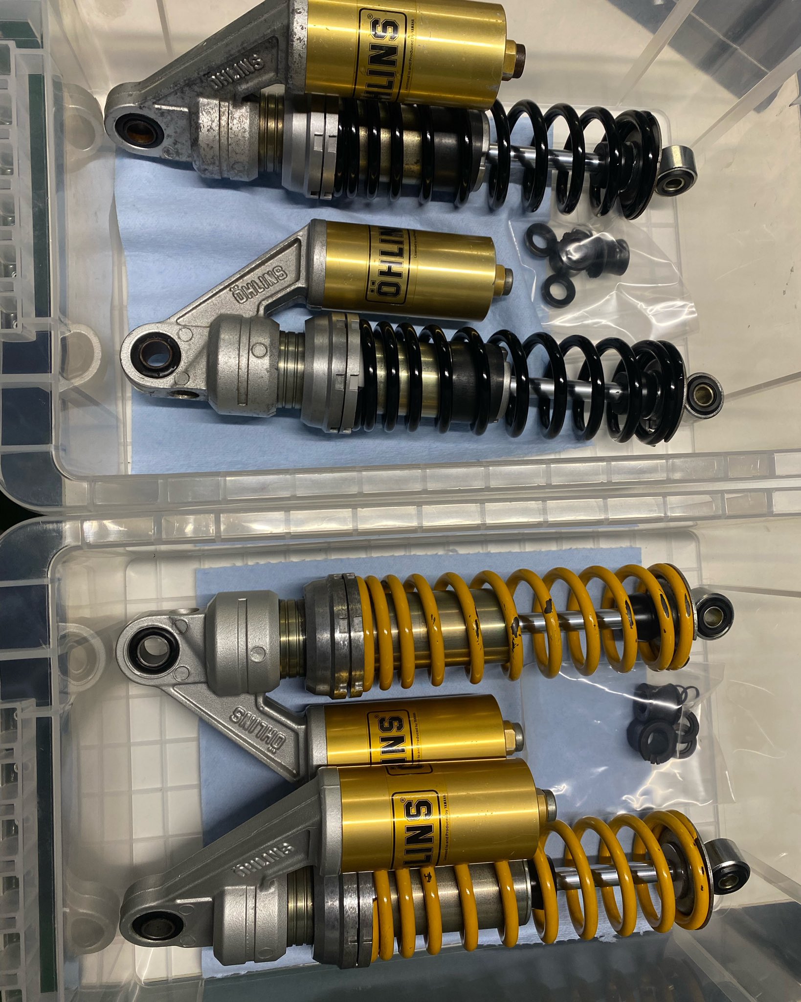 まりりん様　　専用 楽天市場】10mm プリントリボン ゆめかわレインボーリボン 4m