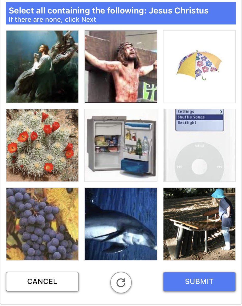 FileGiftFrosch's tweet image. Captchas sind einfach anders wild