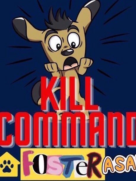 Wynjym's tweet image. 🆘#BOOG 2 yrs old IS NOW ON⚠️#KILLCOMMAND⚠️
@NYCACC🆘
One very hot day in #NYC, on a walk BOOG passed out while
sitting, #FELL &amp;amp; hit his #HEAD then started #PADDLING. He
was wobbly but recovered. He needs to see a #VET #ASAP🚨
HE ALSO NEEDS A KIND #FOSTER &amp;amp; #PLEDGES FOR
#RESCUE🆘