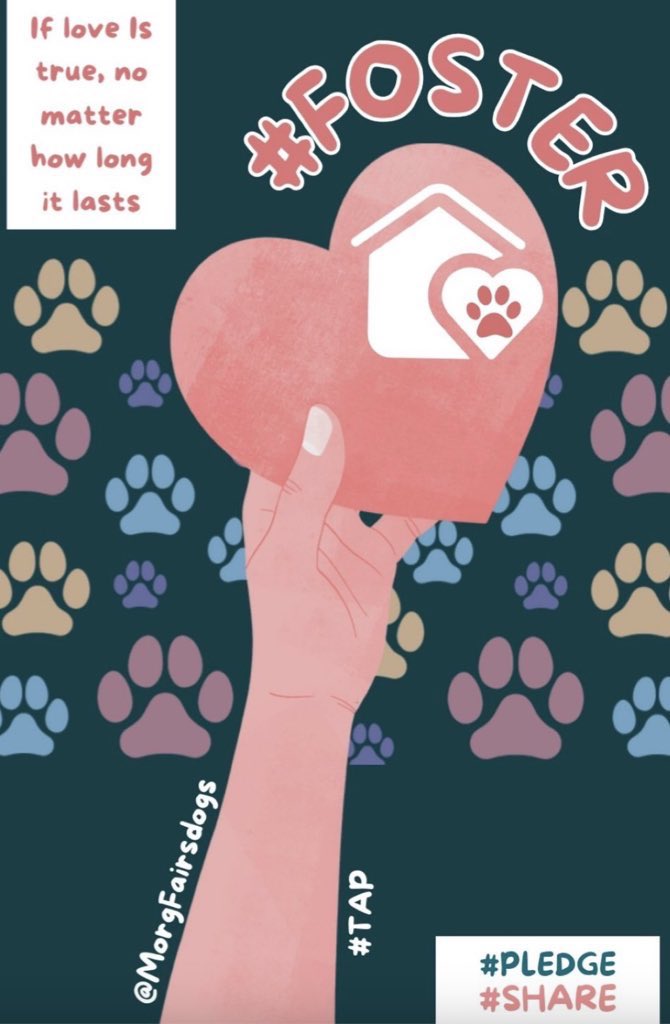 Wynjym's tweet image. 🆘#BOOG 2 yrs old IS NOW ON⚠️#KILLCOMMAND⚠️
@NYCACC🆘
One very hot day in #NYC, on a walk BOOG passed out while
sitting, #FELL &amp;amp; hit his #HEAD then started #PADDLING. He
was wobbly but recovered. He needs to see a #VET #ASAP🚨
HE ALSO NEEDS A KIND #FOSTER &amp;amp; #PLEDGES FOR
#RESCUE🆘