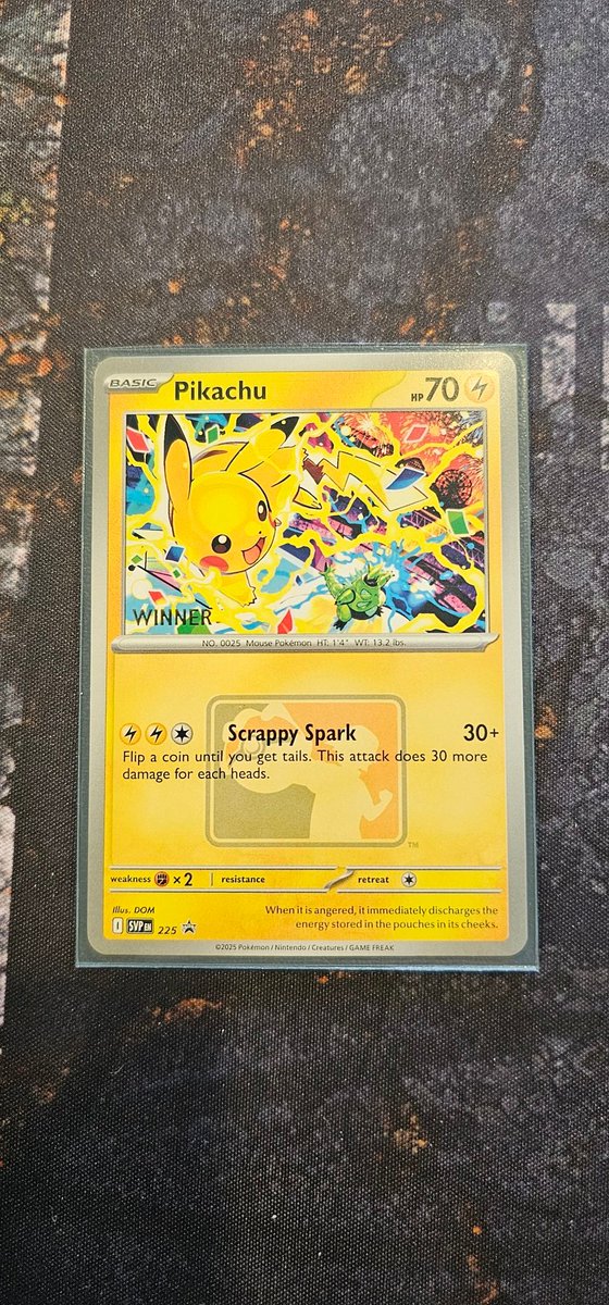 Awesome weekend!!

Won a cup yesterday with Dragapult Dusknoir.

Today, same sixty gave me a Winner Pikachu Promo!!