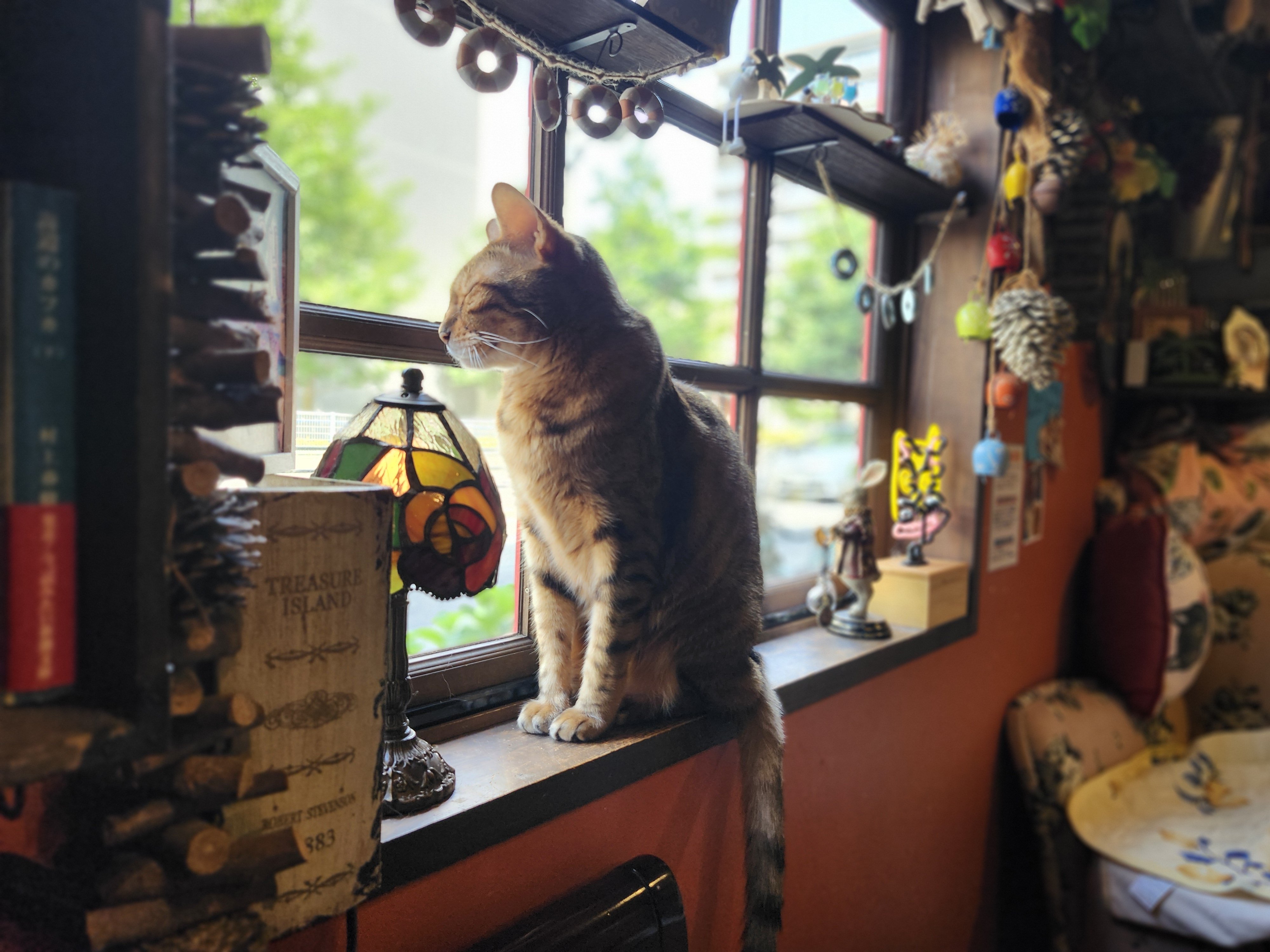 【半額SALE】149,060→ 74,530猫油絵『猫珈琲店』 猫カフェ猫音 on X: 