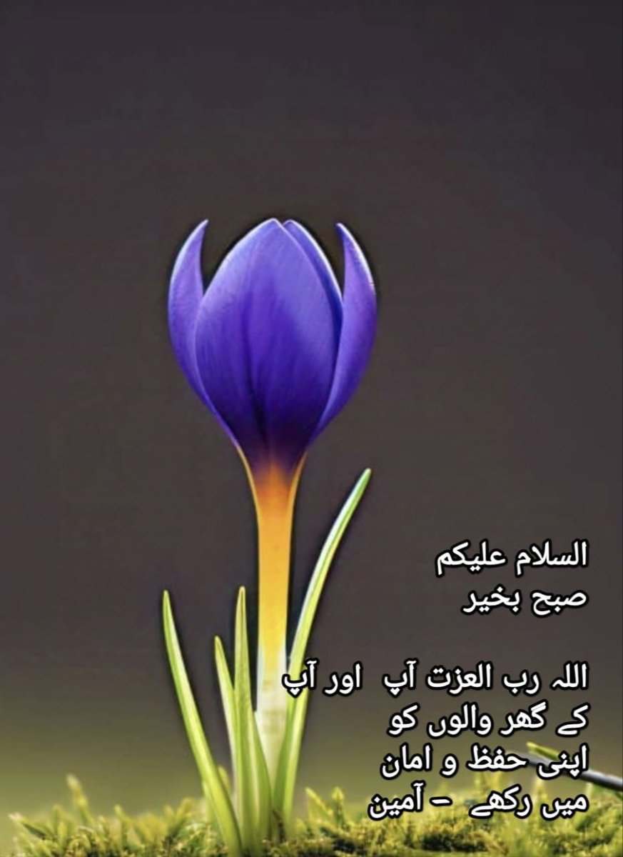 بادشاہ🎅 (@badshah6600) on Twitter photo Assalam o alikum
Good morning
<a href="/lovelycpl1/">ⓁⓄⓋⒺⓁⓎ♡ⓆⓊⒺⒺⓃ</a> <a href="/SarfarazAysha/">Aysha Sarfaraz</a>
@6__Rubyy <a href="/SaimiiiK/">Saima Khan Sudozaii</a> <a href="/ShamaKhan117/">Shama Khan</a> Assalam o alikum
Good morning
<a href="/lovelycpl1/">ⓁⓄⓋⒺⓁⓎ♡ⓆⓊⒺⒺⓃ</a> <a href="/SarfarazAysha/">Aysha Sarfaraz</a>
@6__Rubyy <a href="/SaimiiiK/">Saima Khan Sudozaii</a> <a href="/ShamaKhan117/">Shama Khan</a>