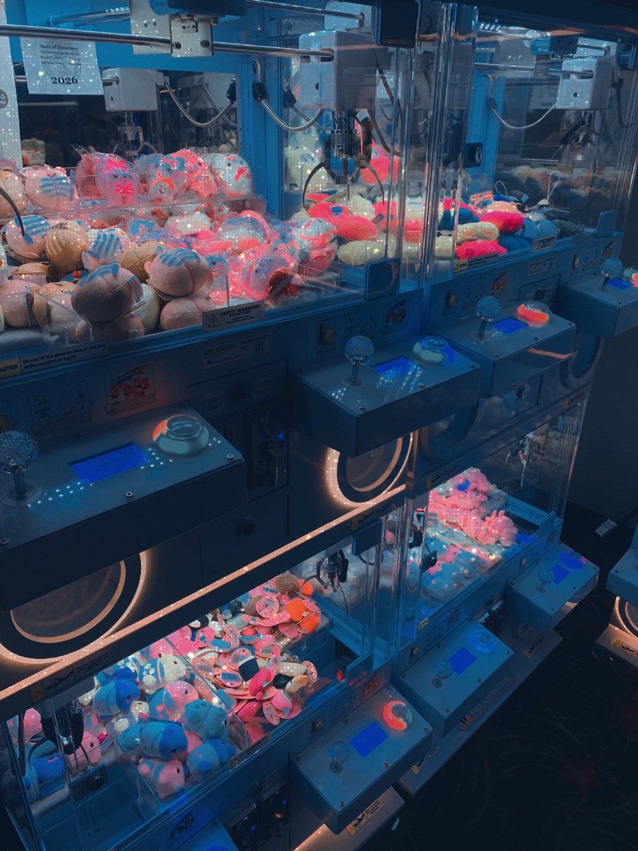 🍤 Vixie Biscuit 🍤 tweet media